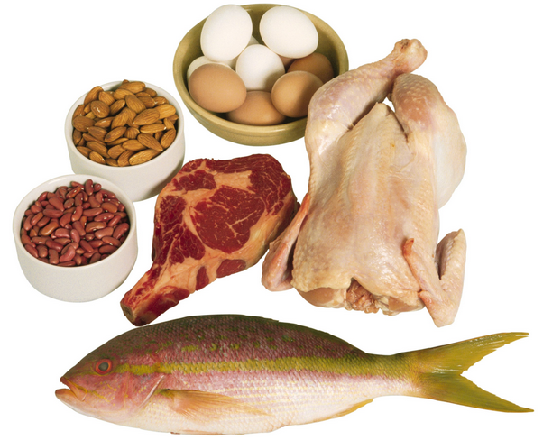découvrez les aliments riches en protéines qui peuvent transformer votre alimentation. explorez les meilleures sources de protéines d'origine animale et végétale pour renforcer votre santé, soutenir votre masse musculaire et améliorer votre bien-être général.