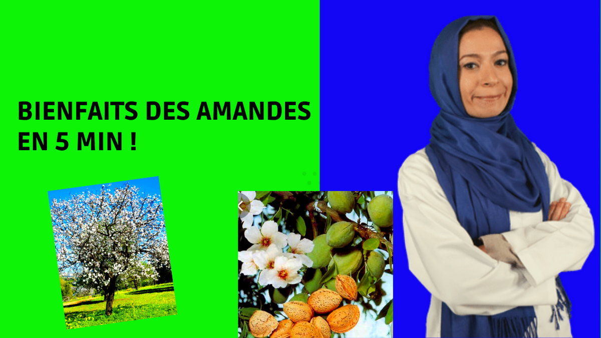 découvrez comment les amandes peuvent influencer votre poids. explorez les bienfaits des amandes pour la santé, leur rôle dans un régime équilibré et des conseils pratiques pour les intégrer dans votre alimentation tout en maintenant votre silhouette.
