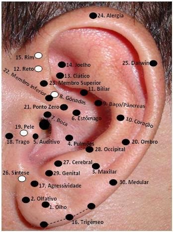 découvrez comment l'auriculothérapie peut transformer votre bien-être physique et émotionnel. explorez ses techniques uniques et ses bienfaits pour soulager le stress, favoriser la relaxation et améliorer votre qualité de vie.