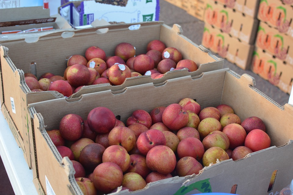 découvrez le fruit idéal pour votre santé : riche en vitamines, minéraux et antioxydants, il contribue à renforcer votre système immunitaire, à améliorer votre digestion et à apporter une dose d'énergie naturelle au quotidien.