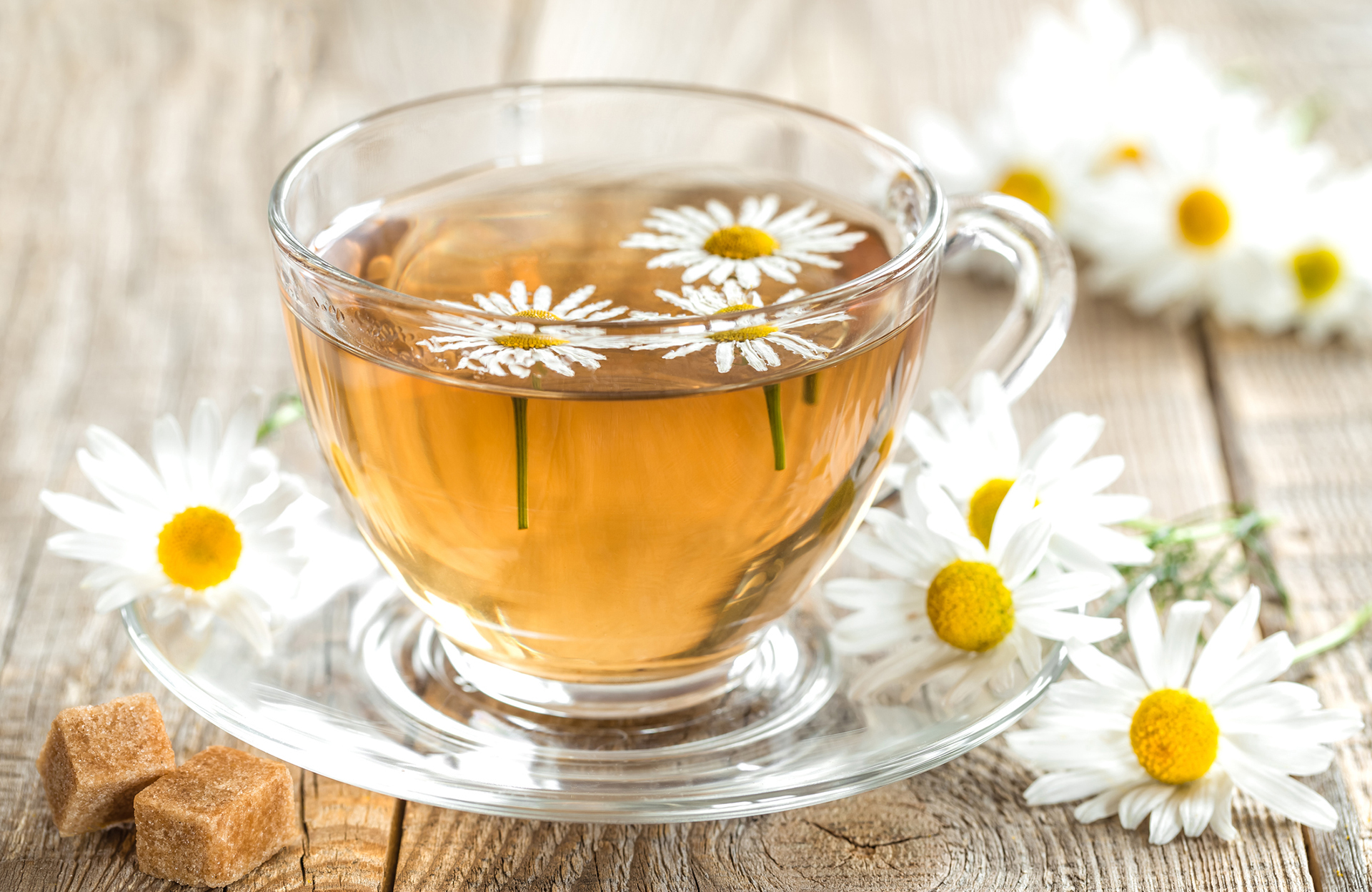 découvrez la tisane miracle, une infusion exceptionnelle aux propriétés bienfaisantes. idéale pour apaiser le corps et l'esprit, elle allie saveurs délicates et bienfaits naturels. plongez dans un univers de sérénité avec chaque tasse.