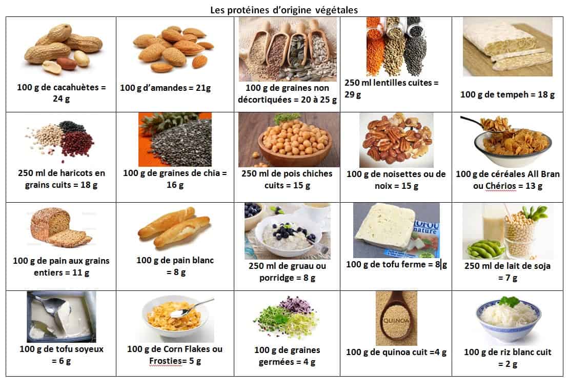 découvrez comment les protéines végétales peuvent influencer positivement votre silhouette. apprenez les bienfaits de ces nutriments essentiels pour une alimentation équilibrée et un mode de vie sain.