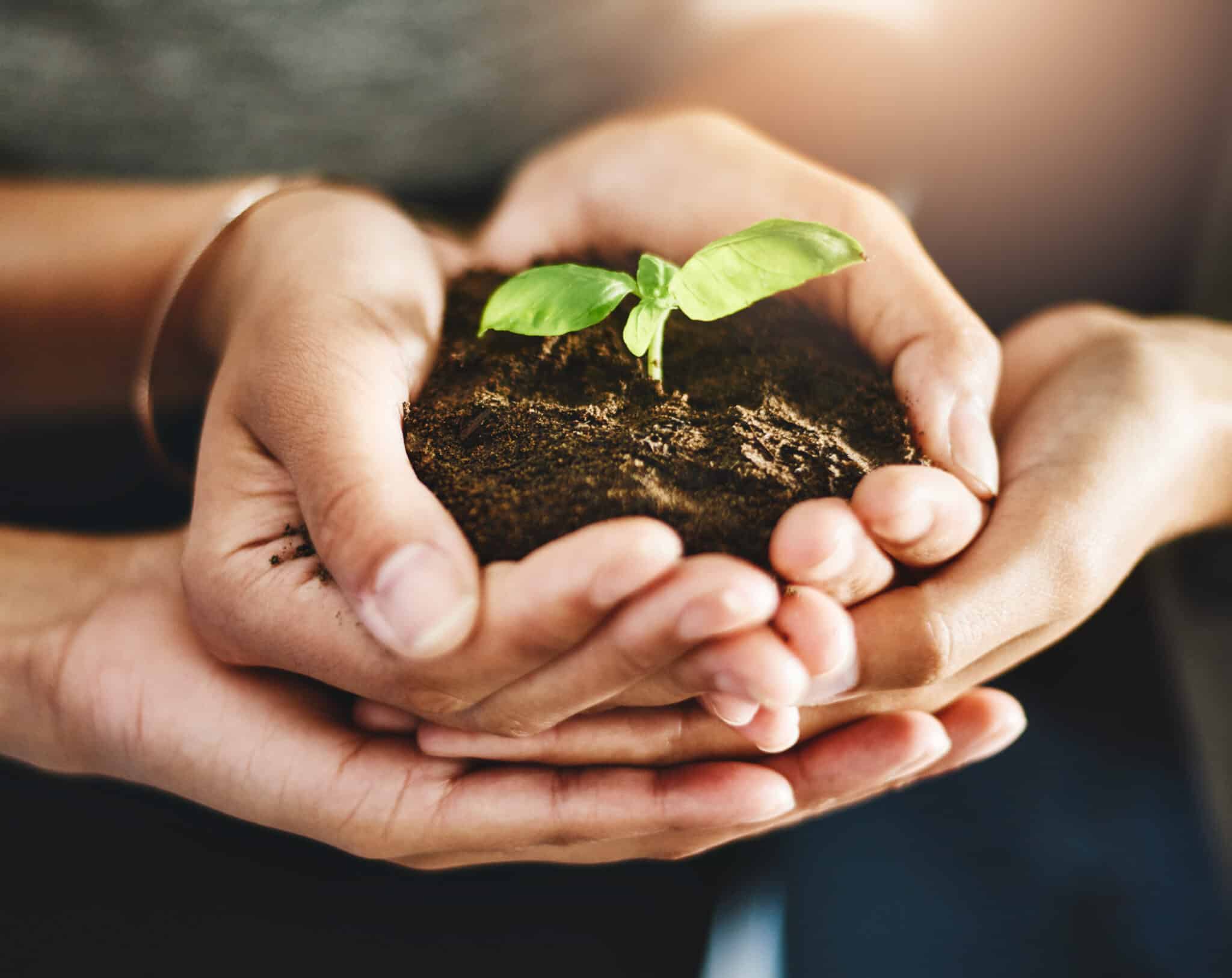 découvrez comment l'engagement durable transforme les entreprises et les communautés, favorisant un avenir plus responsable et respectueux de l'environnement. explorez des initiatives innovantes et des pratiques éthiques pour un développement durable.