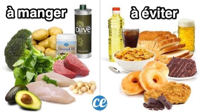 découvrez des stratégies alimentaires efficaces pour perdre du poids tout en savourant de délicieux repas. apprenez à équilibrer votre alimentation et à choisir les bons aliments pour atteindre vos objectifs de perte de poids.