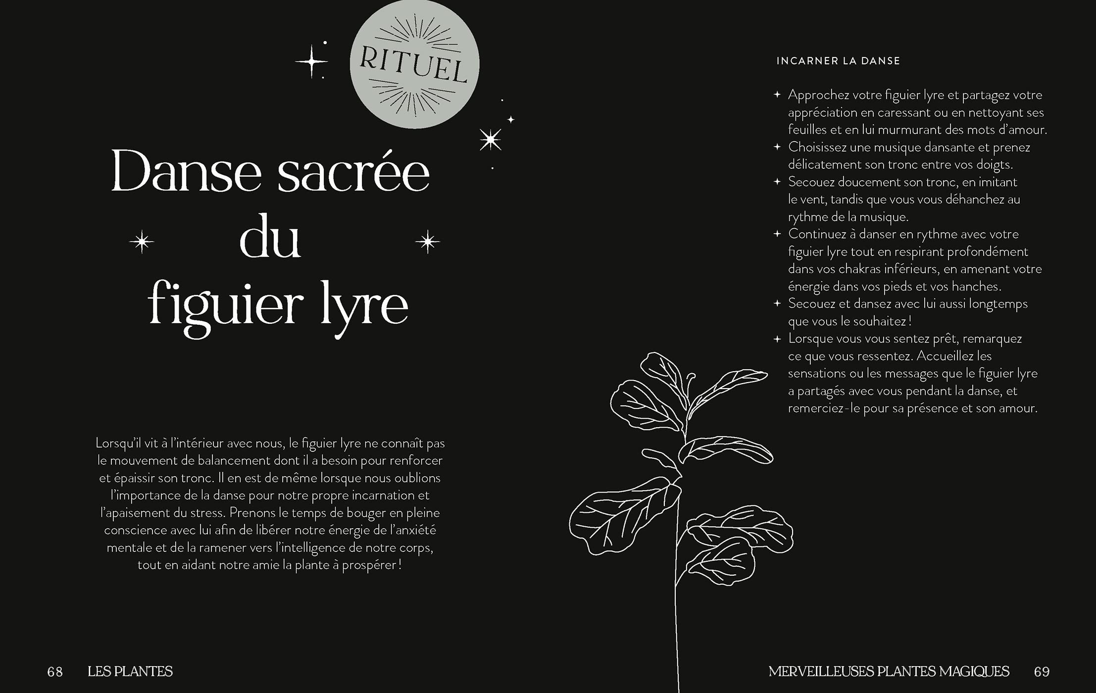découvrez les bienfaits des plantes magiques pour accompagner les femmes durant la ménopause. apprenez à soulager les symptômes et à favoriser un équilibre naturel grâce à des remèdes issus de la nature.