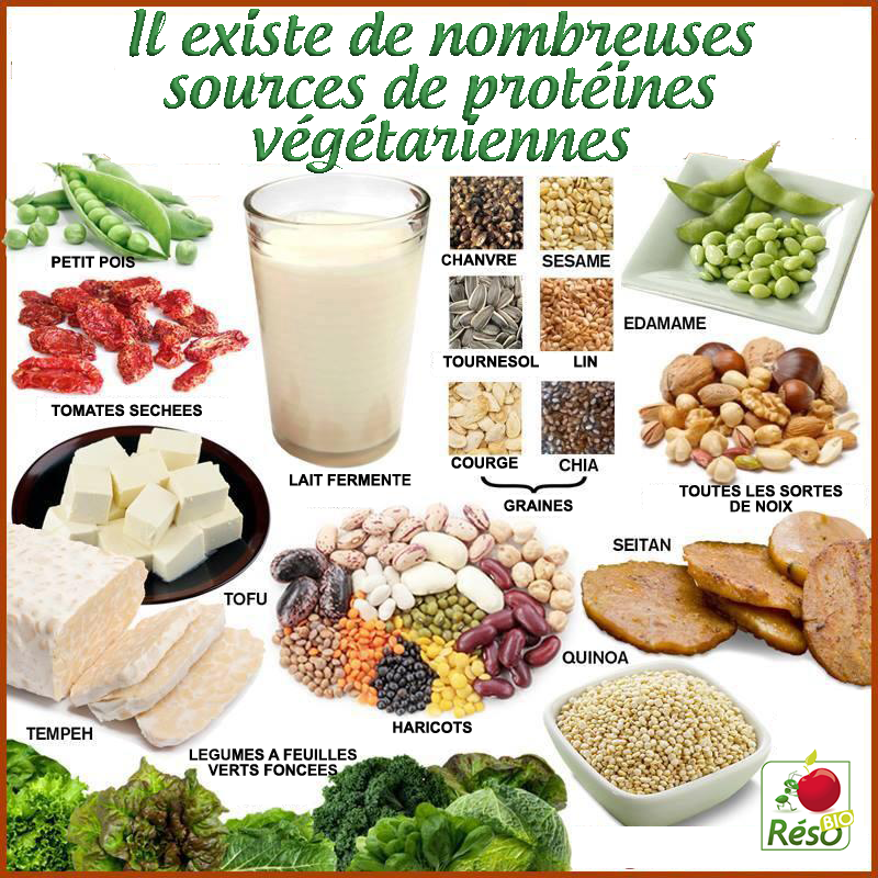 découvrez comment les protéines végétales peuvent transformer votre silhouette. apprenez à intégrer ces super-aliments dans votre alimentation pour une meilleure santé et un corps équilibré.