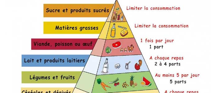 découvrez les tendances émergentes des régimes alimentaires en 2025. informez-vous sur les choix sains, les nouvelles régimes innovants et les recommandations pour améliorer votre bien-être et votre santé, tout en vous adaptant aux évolutions nutritionnelles de demain.