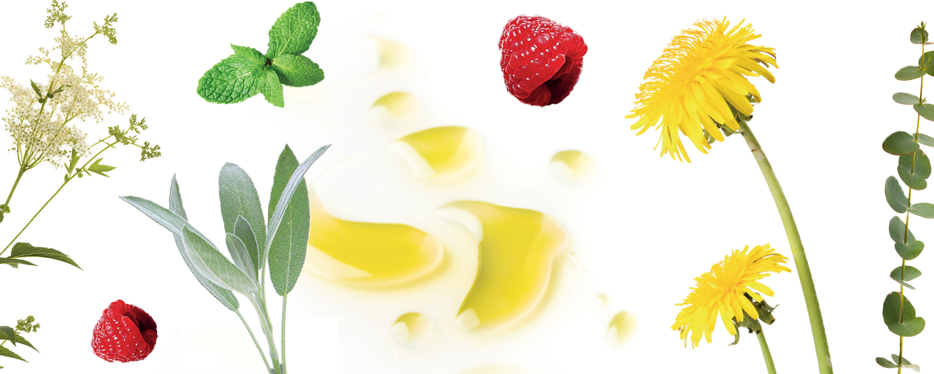 découvrez nos conseils et astuces en nutrition pour vous aider à atteindre vos objectifs de minceur. apprenez à équilibrer votre alimentation, à choisir des aliments bénéfiques et à adopter un mode de vie sain pour perdre du poids durablement.