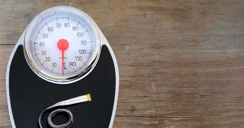 découvrez un régime efficace pour une perte de poids rapide et saine. adoptez des habitudes alimentaires équilibrées, des conseils pratiques et des recettes délicieuses pour atteindre vos objectifs de minceur en toute sérénité.