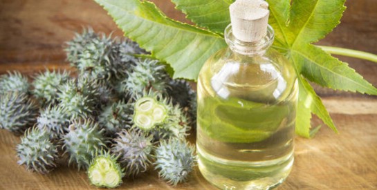 découvrez les bienfaits de l'huile de ricin, du café et du citron pour vous aider à maigrir. cette combinaison naturelle favorise la perte de poids tout en nourrissant votre peau et en revitalisant votre corps. adoptez des habitudes saines avec ces ingrédients puissants.